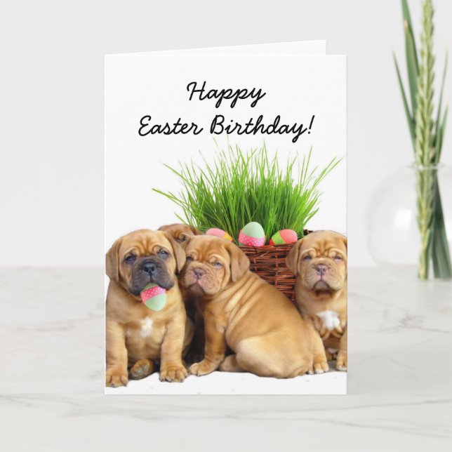 Tarjeta feliz de los perritos de Pascua Birthday (Anverso)