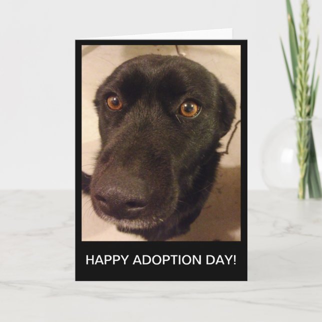 Tarjeta feliz del día de la adopción del perro (Anverso)