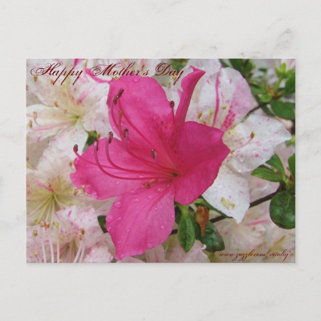 Tarjeta feliz del día de la madre (Anverso)