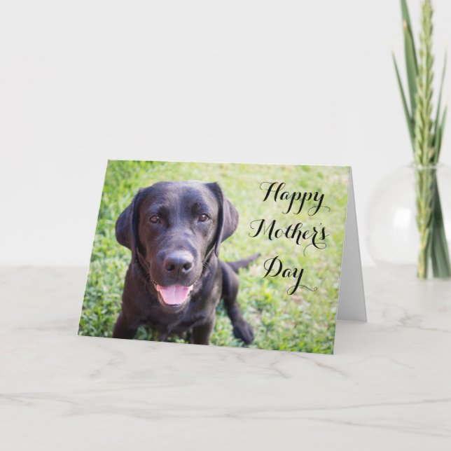 Tarjeta feliz del día de la madre con el labrador  (Anverso)