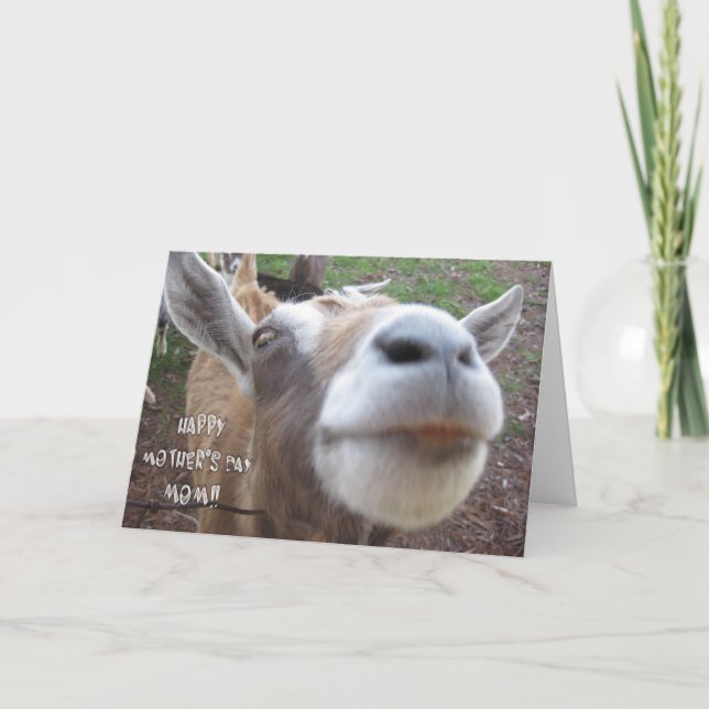 Tarjeta feliz del día de la madre de la cabra (Anverso)
