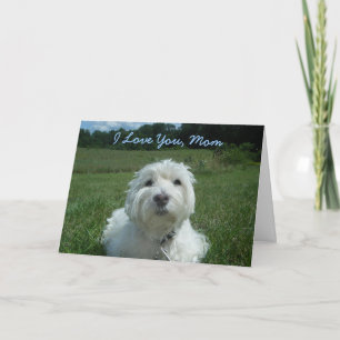 Tarjeta feliz del día de madre de la mamá de