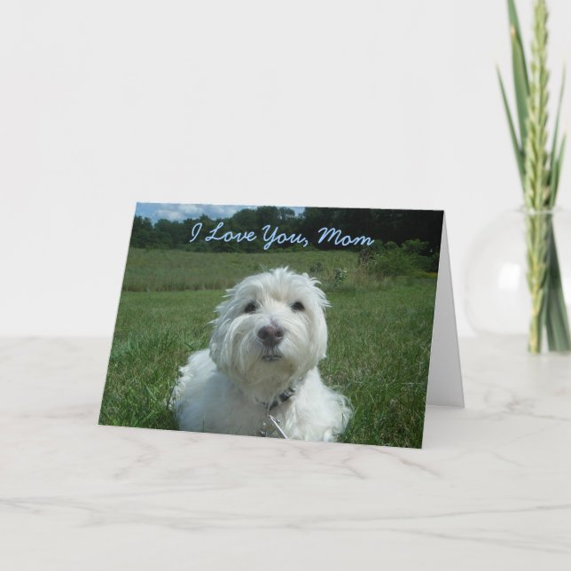 Tarjeta feliz del día de madre de la mamá de (Anverso)
