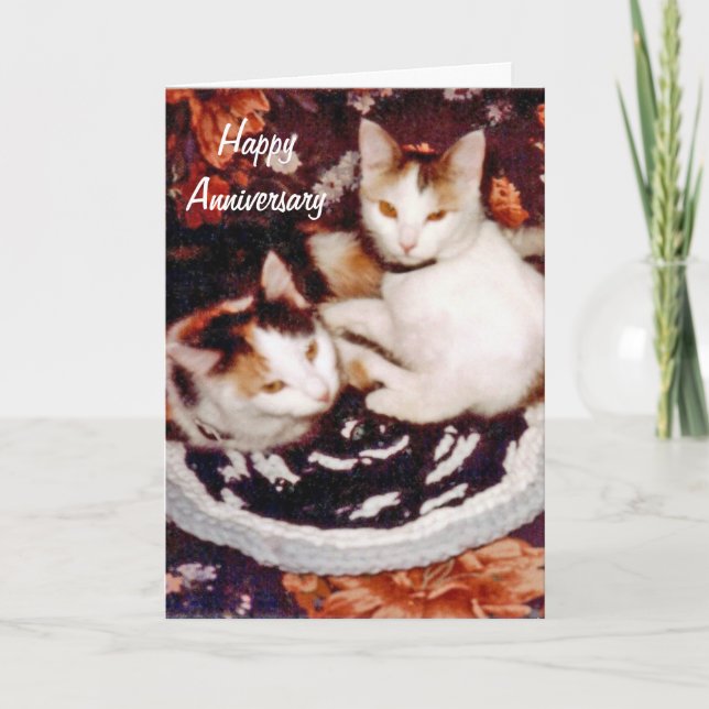 Tarjeta feliz del gato del aniversario (Anverso)