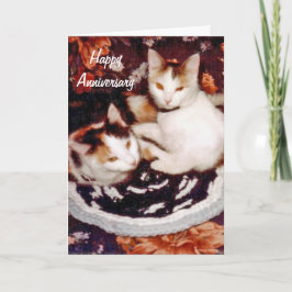 Tarjeta feliz del gato del aniversario