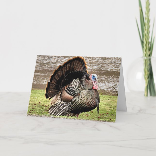 Tarjeta Feliz Día de Acción de Gracias (Anverso)