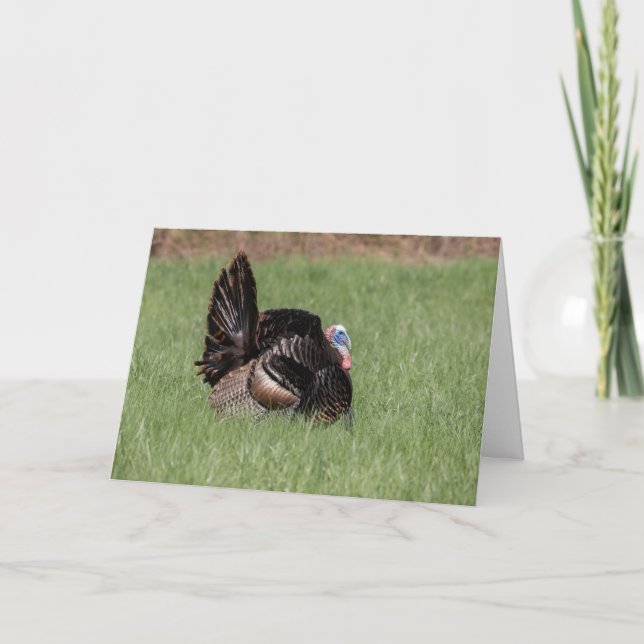 Tarjeta Feliz Día de Acción de Gracias (Anverso)
