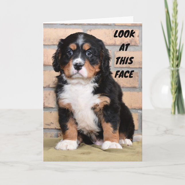 TARJETA "FELIZ DÍA DE ACCIÓN DE GRACIAS" DICE PUNTO TRISTE (Anverso)