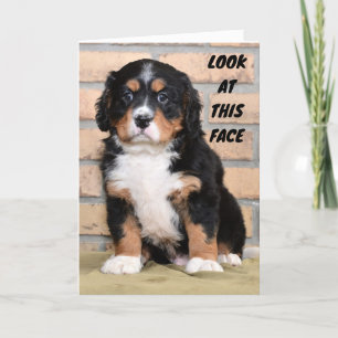 TARJETA "FELIZ DÍA DE ACCIÓN DE GRACIAS" DICE SAD DOT