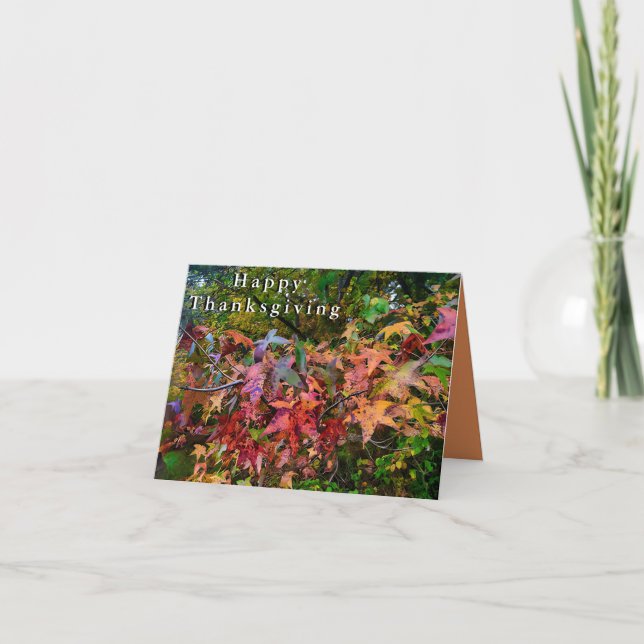 Tarjeta Feliz Día de Acción de Gracias - Vibrante Foliage  (Anverso)