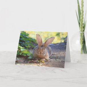 Tarjeta ¡Feliz Día de Conejo!