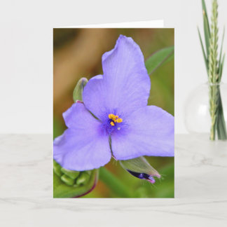 Tarjeta ¡Feliz Día de la Madre!