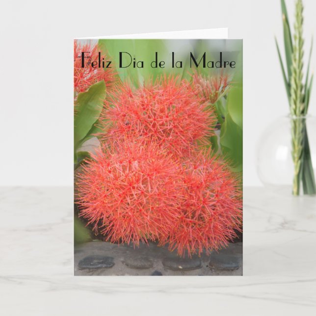 Tarjeta Feliz día de la madre 18 (Anverso)