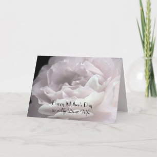 Tarjeta Feliz día de la madre a la esposa, Rosa Petals flo