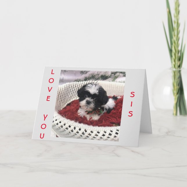 TARJETA FELIZ *DÍA DE LA MADRE* A UNA ****HERMANA ESPECIAL (Anverso)