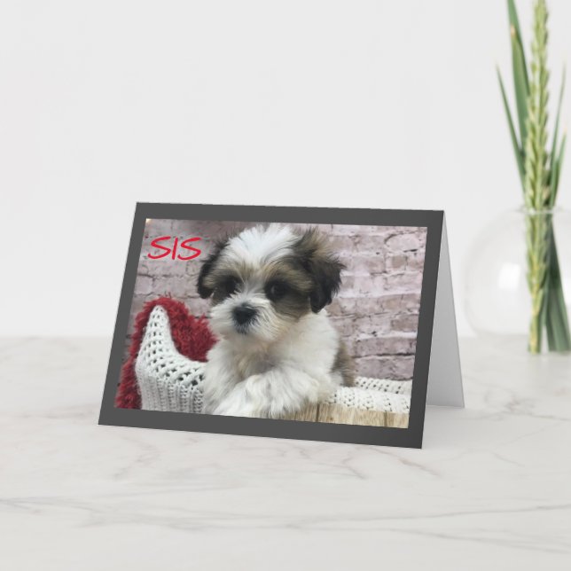 TARJETA FELIZ *DÍA DE LA MADRE* A UNA ****HERMANA ESPECIAL (Anverso)