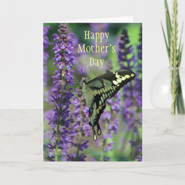 Tarjeta Feliz Día de la Madre ~ Bella Butterfly Card (Anverso)