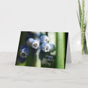 Tarjeta Feliz Día de la Madre - Bud de primavera