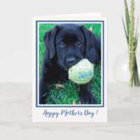 Feliz día de la madre, cachorro negro labrador - P