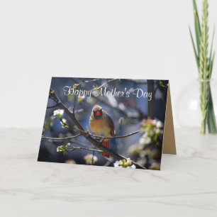 Tarjeta Feliz Día de la Madre Cardenal femenino en Tr flor