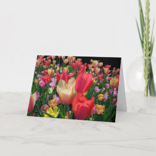 Tarjeta Feliz día de la madre con tulipanes