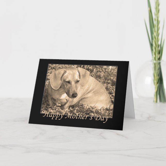 Tarjeta Feliz Día de la Madre, dachshund Sepia (Anverso)
