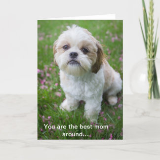 Tarjeta Feliz Día de la Madre de Edie the Shih Tzu