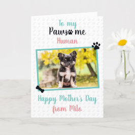 Tarjeta Feliz Día de la Madre de Perro a Madre Pawsome Mom