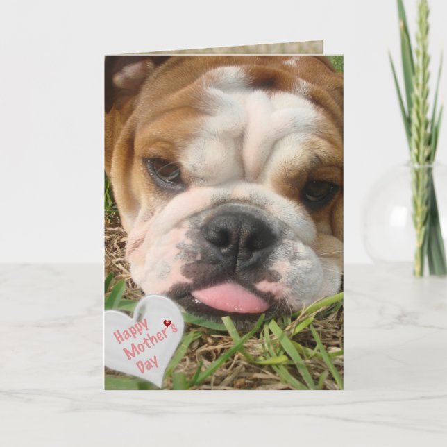 Tarjeta feliz día de la madre del bulldog (Anverso)