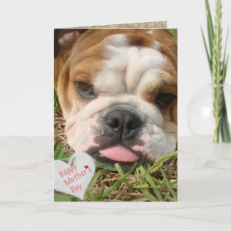 Tarjeta feliz día de la madre del bulldog