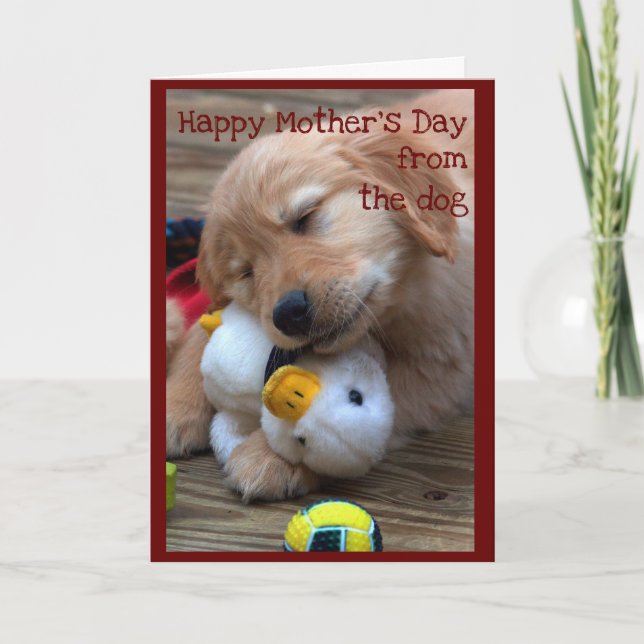 Tarjeta Feliz Día de la Madre del Perro (Anverso)