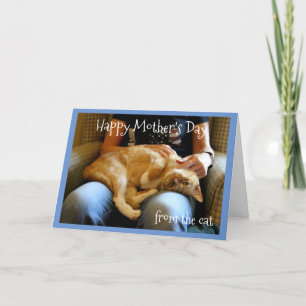 Tarjeta Feliz día de la madre desde el gato