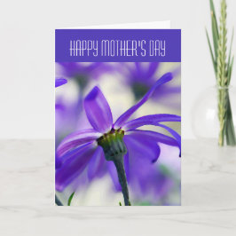 Tarjeta Feliz Día de la Madre - General - Cineeraria púrpu