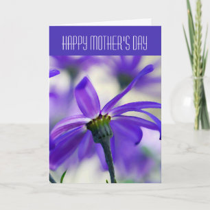 Tarjeta Feliz Día de la Madre - General - Cineeraria púrpu