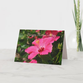 Tarjeta Feliz Día de la Madre Hibiscus rayado rosa