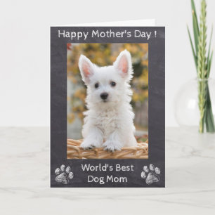 Tarjeta Feliz Día de la Madre - Mejor Mamá Perro del Mundo