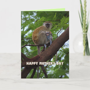 Tarjeta Feliz Día de la Madre, mono, humor para madres y n
