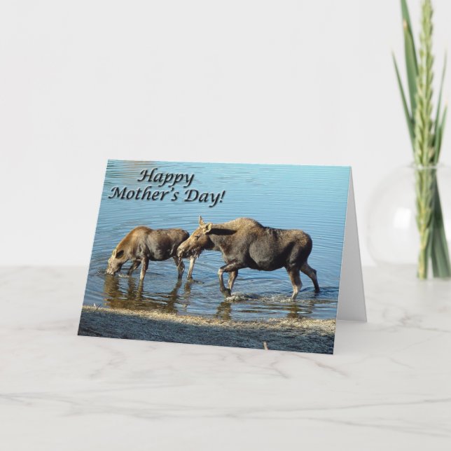 Tarjeta "Feliz Día de la Madre" Moose and Calf (Anverso)