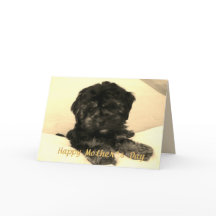 Feliz Día de la Madre, perro de bebé