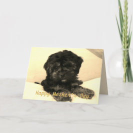Tarjeta Feliz Día de la Madre, perro de bebé