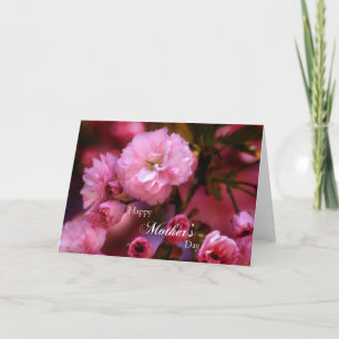 Tarjeta Feliz Día de la Madre Primavera Flores de cerezo r