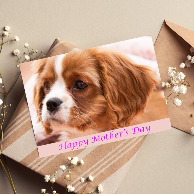 Tarjeta Feliz Día de la Madre Puppy CKCS Card (Subido por el creador)