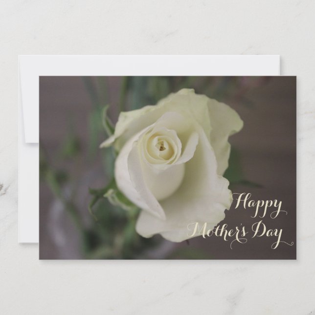 Tarjeta Feliz Día de la Madre Rosa Blanca Elegante (Anverso)