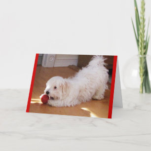 Tarjeta Feliz Día de la Madre - Un cachorro de La Habana