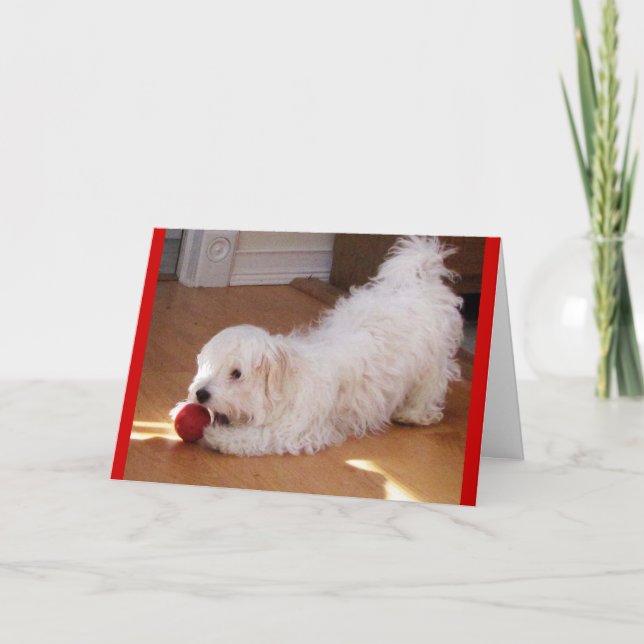 Tarjeta Feliz Día de la Madre - Un cachorro de La Habana (Anverso)