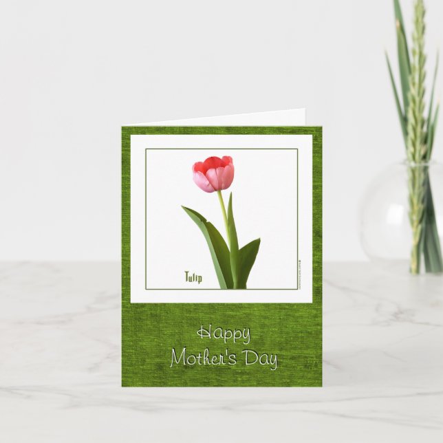 Tarjeta Feliz Día de la Madre - Un Tulipán Rosa (Anverso)