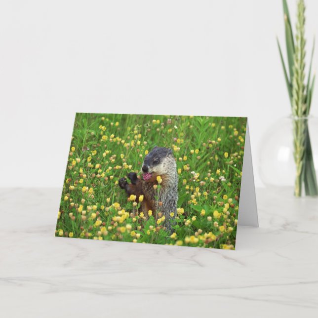 Tarjeta ¡Feliz Día de la Marmota! (Anverso)