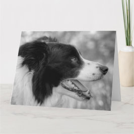Tarjeta Feliz Día de Ladrido Border Collie Cumpleaños Perr