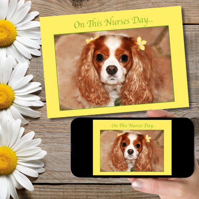 Tarjeta Feliz Día de las Enfermeras Cavalier King Charles  (Subido por el creador)