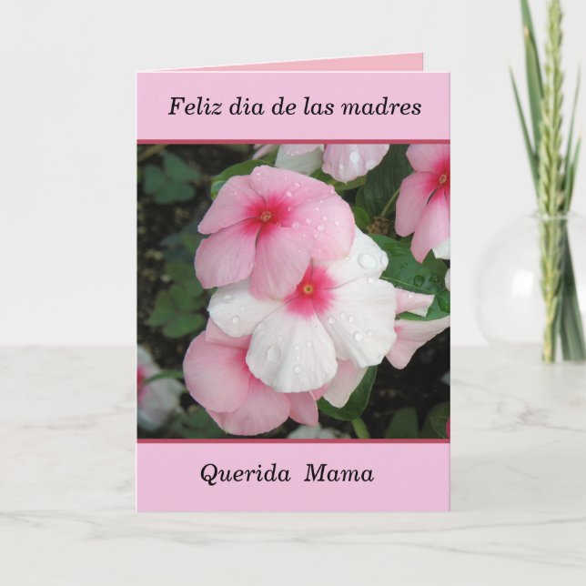 Tarjeta Feliz dia de las madres (Anverso)